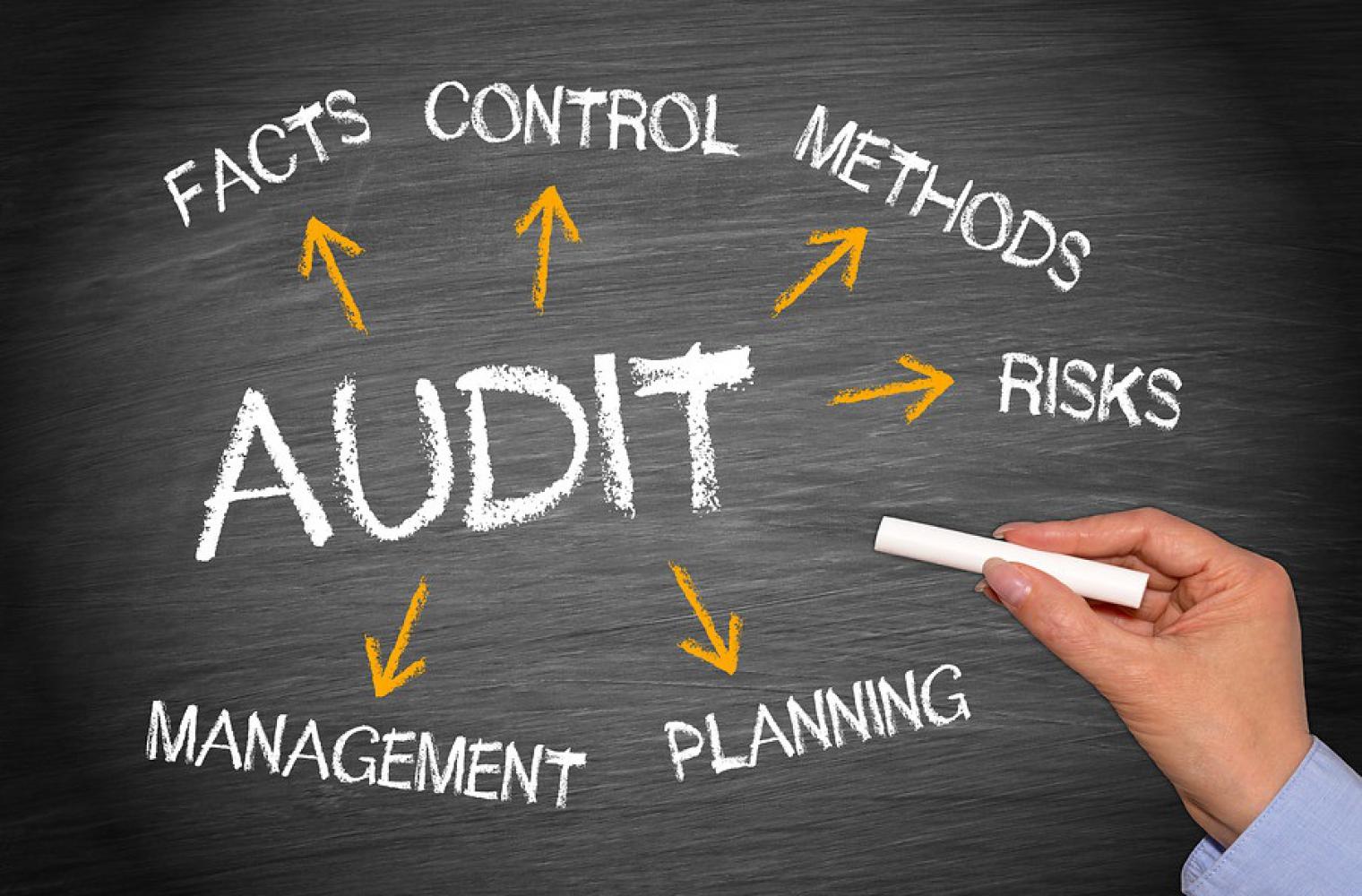 Course Image MANAGEMENT AUDIT