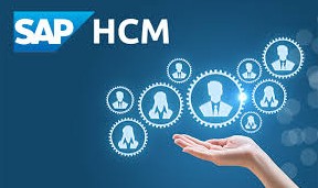 Course Image SAP HCM for HC Department